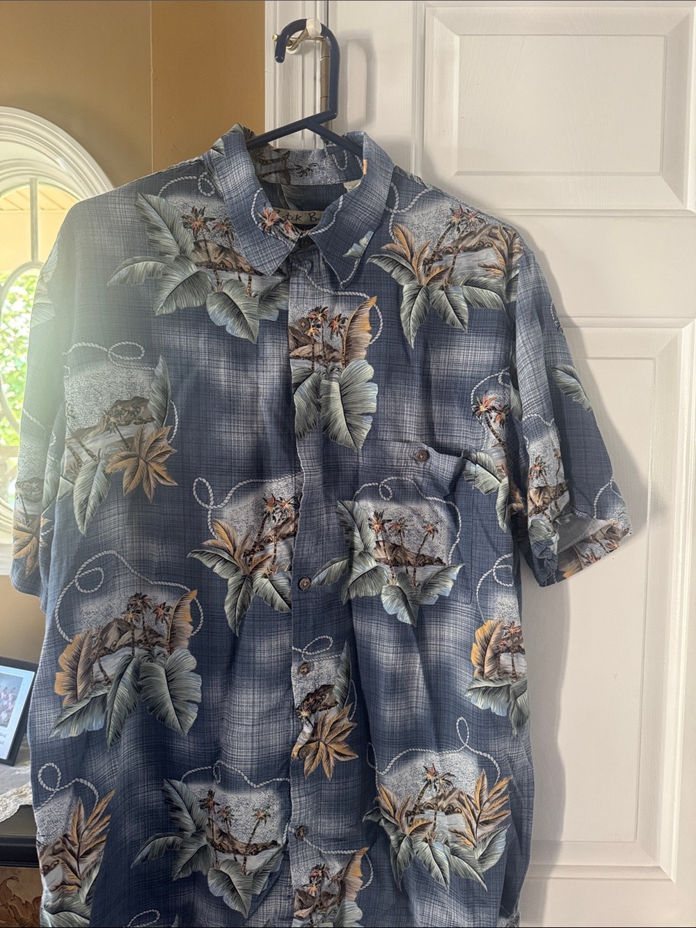 Men's Blue Tropical Print Short-Sleeve Button-Down Shirt - Casual Vacation Style